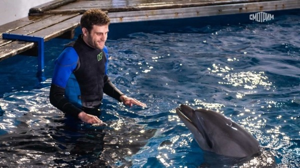 "Россия 1" покажет многосерийную мелодраму "Морячка" о любви и дельфинах